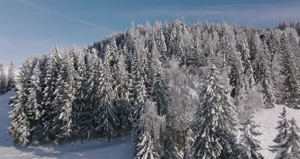 Drone Over Forests On Kitzsteinhorn Mountain