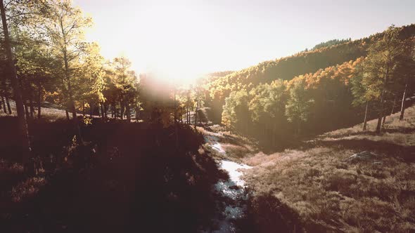 Bright Sunset in the Mountains with Yellow Forest