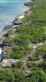 Zanzibar Tanzania  Ocean Shore Covered with Green Thickets Vertical Video