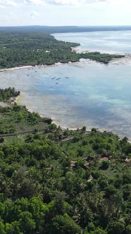 Vertical Video of the Ocean Near the Coast of Zanzibar Tanzania