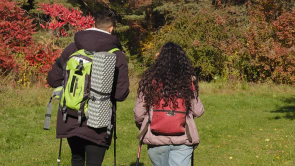 View Back Young Active Couple Hikers Travel in Forest with Backpacks Enjoy Nordic Walking Outdoors