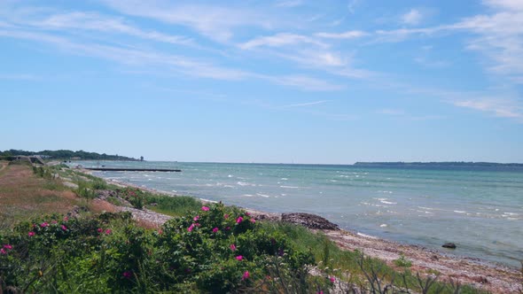 Pretty beach with white sand and purple flowers