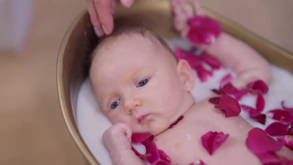 Top View Face of Thoughtful Infant Lying in White Milk Water with Red Rose Petals Looking Away