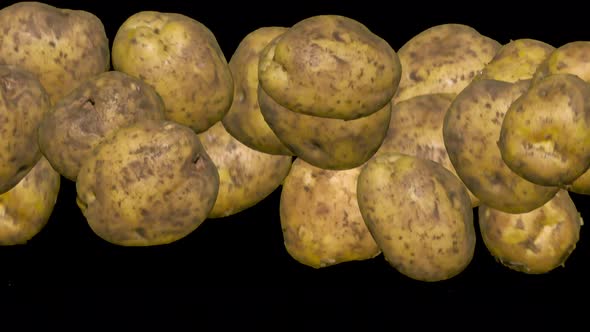 Unwashed Potatoes In A Jump On Black