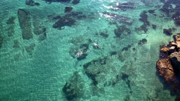 Circling Aerial Above Tourists Snorkelling Goat Island Marine Reserve Glittering Crystalline Turquoi