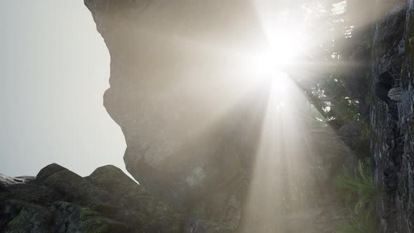 Vertical Shot of Tropical Cave at Sunset