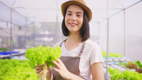 Caucasian farmer girl work to check the quality of green oaks in vegetables hydroponic farm.