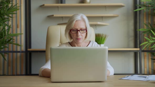 Portrait of Smiling Older Woman Working Laptop Computer Indoors