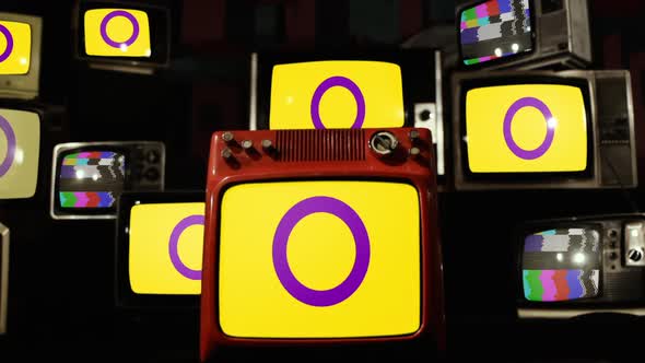 Intersex Pride Flag on Retro TVs.