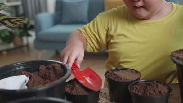 Little Boy Adding Some Soil To Pot, Child Planting At Home