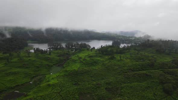 Aerial view of misty landscape forest in Situ Patenggang, Bandung, Indonesia