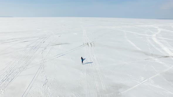 Aerial: Sprinter in harness with sled dog on a frozen bay in winter