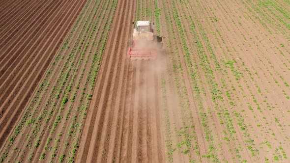 Agricultural Machinery in the Potato Field Cultivates the Land