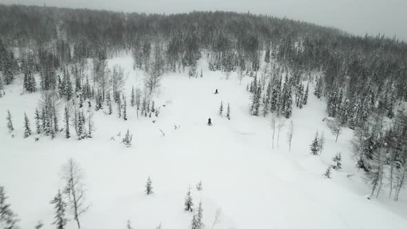 Tourists Rushing on Snowmobiles Through the Forest