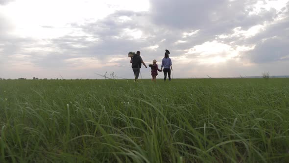 Family Farmers Are Walking Along the Field at Sunset, Carrying Box with Fresh Vegetables and Tools