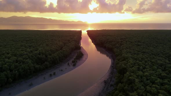 Fly over the river toward sea at mangrove tree forest