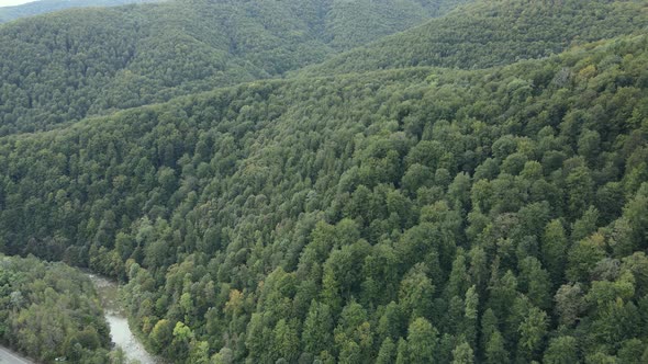 Forest in the Mountains. Aerial View of the Carpathian Mountains in Autumn. Ukraine