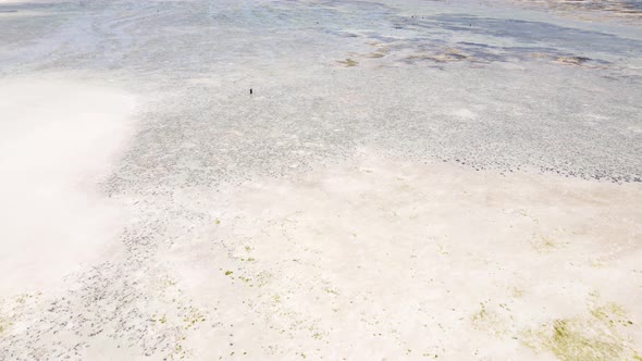 Zanzibar Tanzania  Low Tide in the Ocean Near the Shore