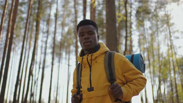 Black African Male Hiking on Trail Up Peaceful Lush High Elevation Green Forest with Sun Flares