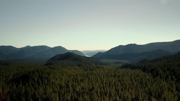 Top View of a Mountainous Area Covered with Forest