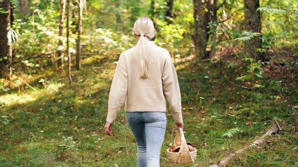 Young Woman Picking Mushrooms in Autumn Forest