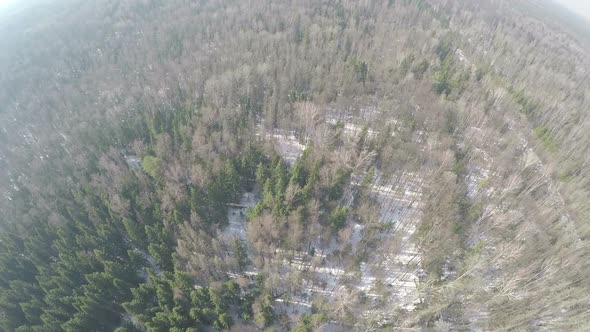 Aerial panorama of winter mixed forest landscape