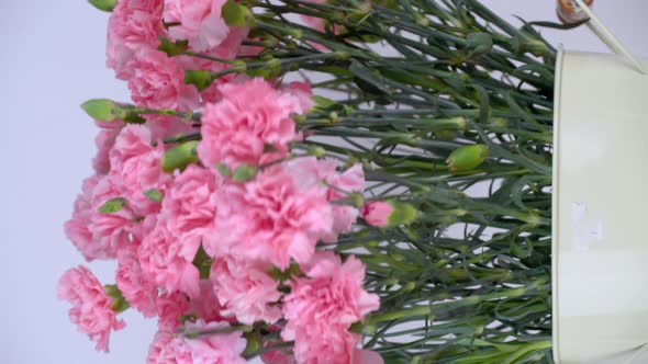 Close-up of a large number of pink carnations in a tin vase rotating.