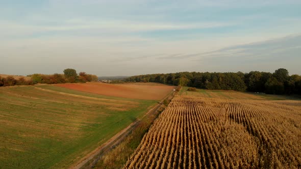 Flight over fields in sunset light.