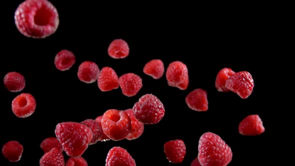 Raspberries Bouncing Up on a Black Background