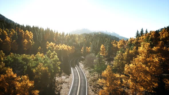 Aerial Drone View Flight Over Pine Tree Forest in Mountain at Sunset