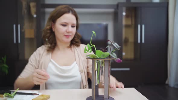 Woman Roots Indoor Plant Sprouts in Special Glass Flasks