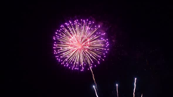 Colorful Firework display at night on sky background alt