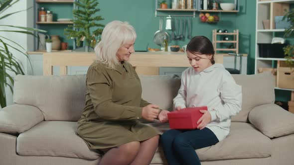 Older 60s Grandmother Congrats With New Year or Christmas and Give a Present to Granddaughter