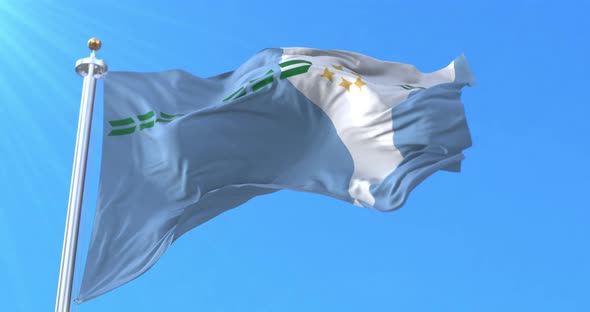 Formosa Province Flag, Argentina