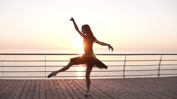 Young Stunning Ballerina on a Wooden Seafront Doing Ballet Pas