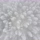 Drone view of beautiful winter scenery with pine trees covered with snow. - VideoHive Item for Sale