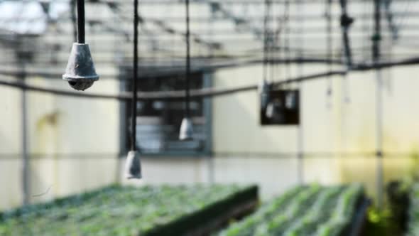 Greenhouse garden water irrigation system ready for use on flowers