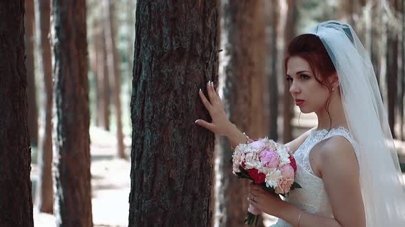 Bride Stands Near a Tree in the Forest and Holds Her Hand Over the Bark