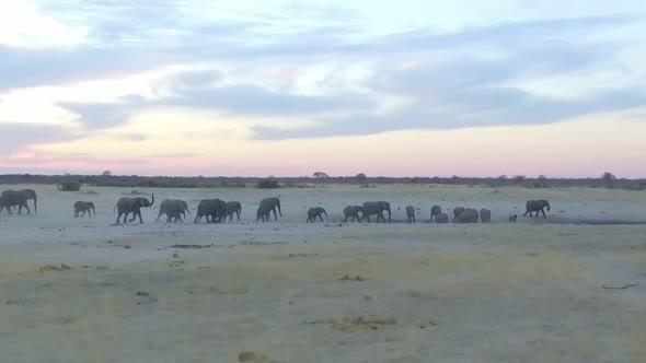 stampede runs to watering hole at dusk