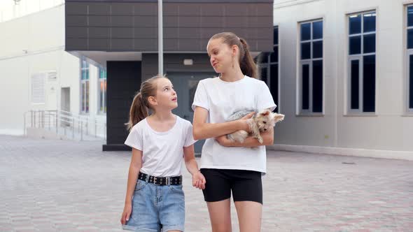 Schoolgirls Walk Along Street and Elder Holds Puppy in Arms