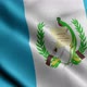 Animated Flag Of Guatemala - VideoHive Item for Sale