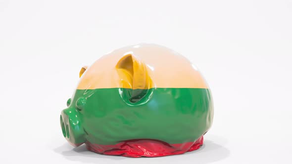 Deflating Piggy Bank with Printed Flag of Lithuania