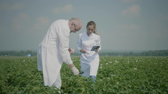 Scientists researching agricultural field