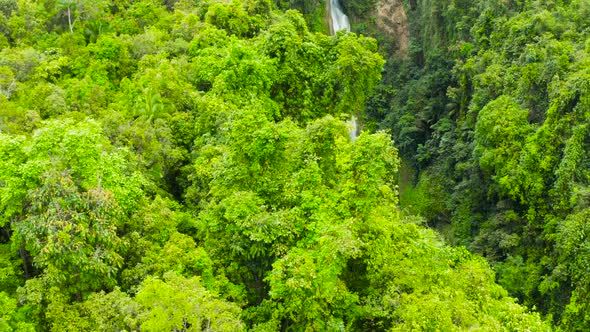 Beautiful Tropical Waterfall Philippines, Cebu