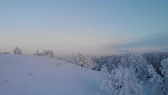 Fly over the frosty night forest