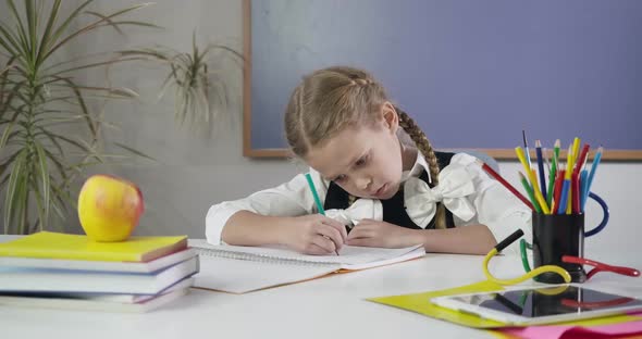 Portrait of Cute Caucasian Schoolgirl with Pigtails Sitting at the Table and Writing in Exercise