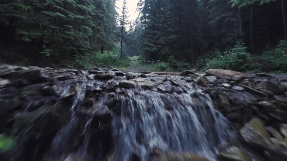 Smooth Rapid Flight Over a Mountain River Close to the Water Among a Dense Forest