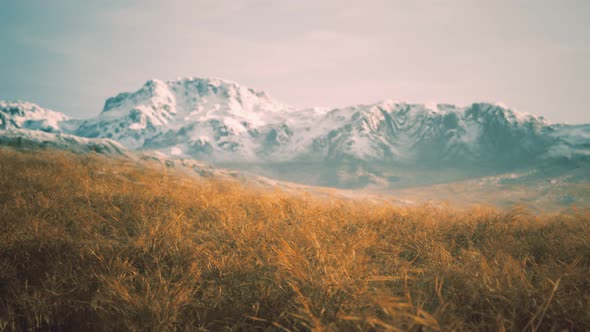 Dry Grass and Snow Covered Mountains in Alaska