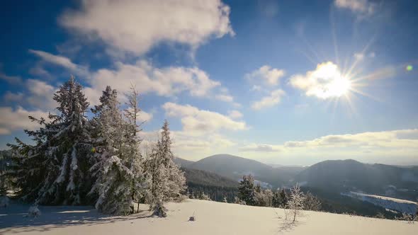 A Strong Winter Sun