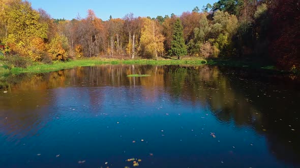 Colorful Autumn Forest Wood on the Lake